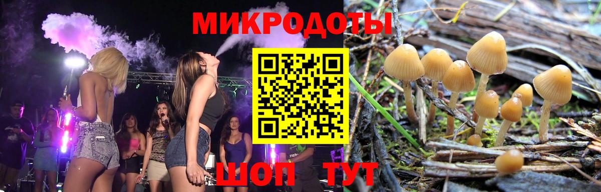 Галлюциногенные грибы Psilocybe Симферополь