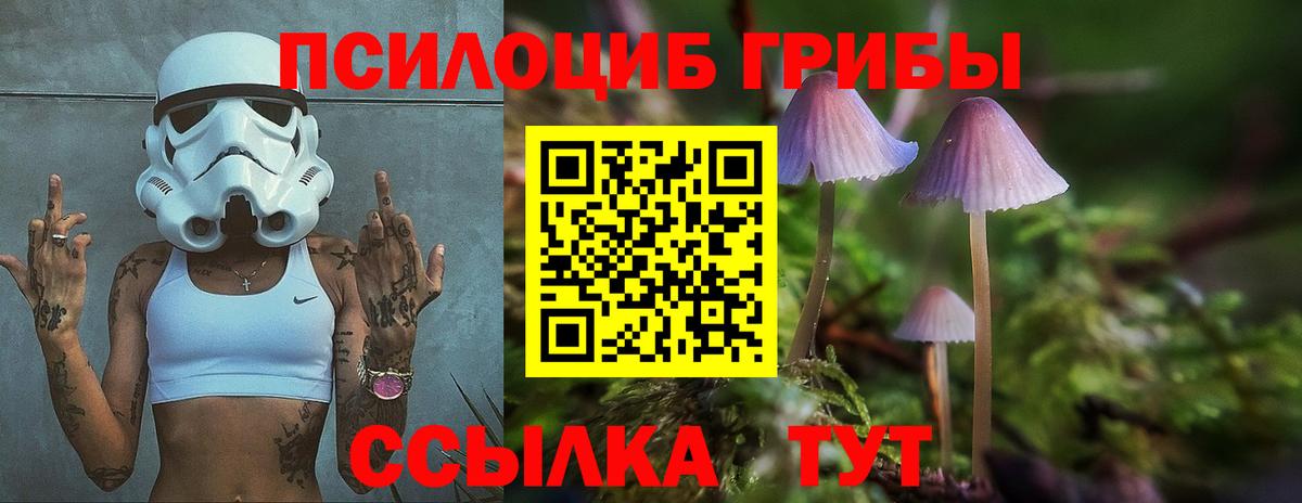 Псилоцибиновые грибы Cubensis  купить закладку  Симферополь  Вход с VPN 